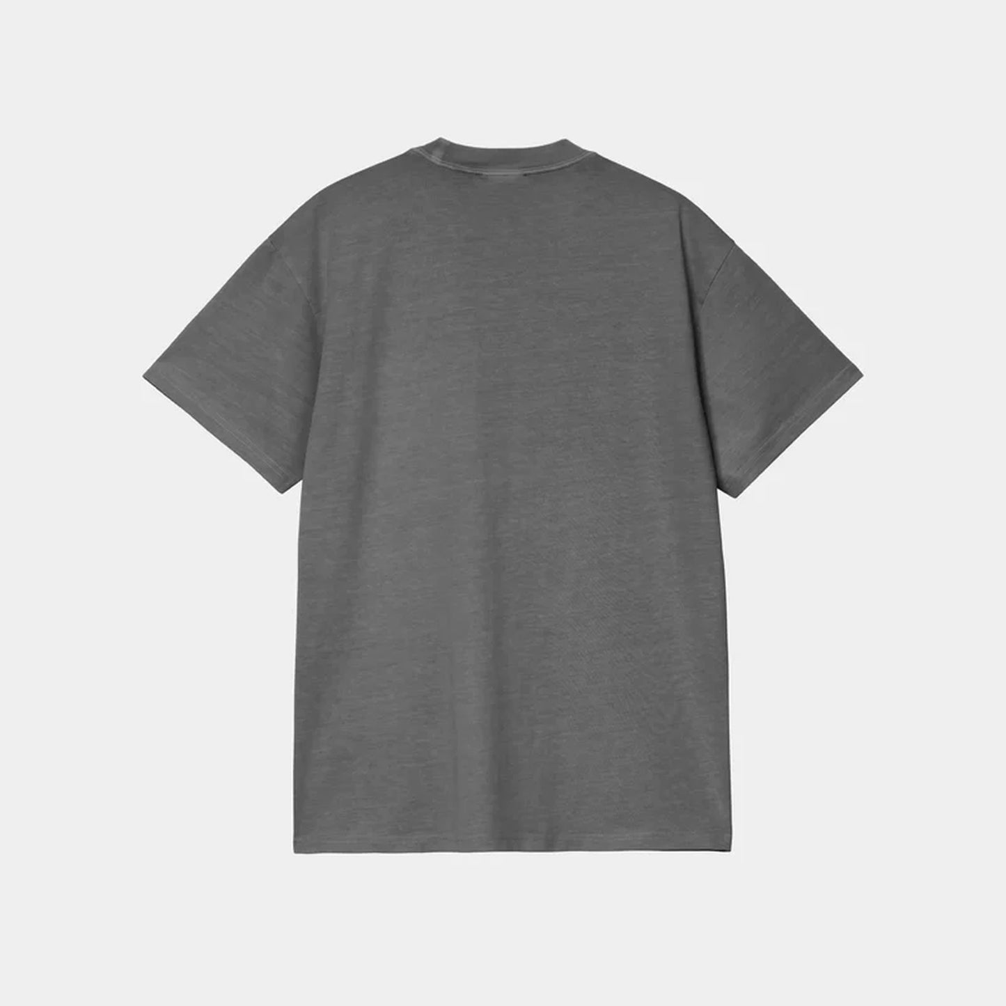Carhartt WIP Terrestrial T-Shirt