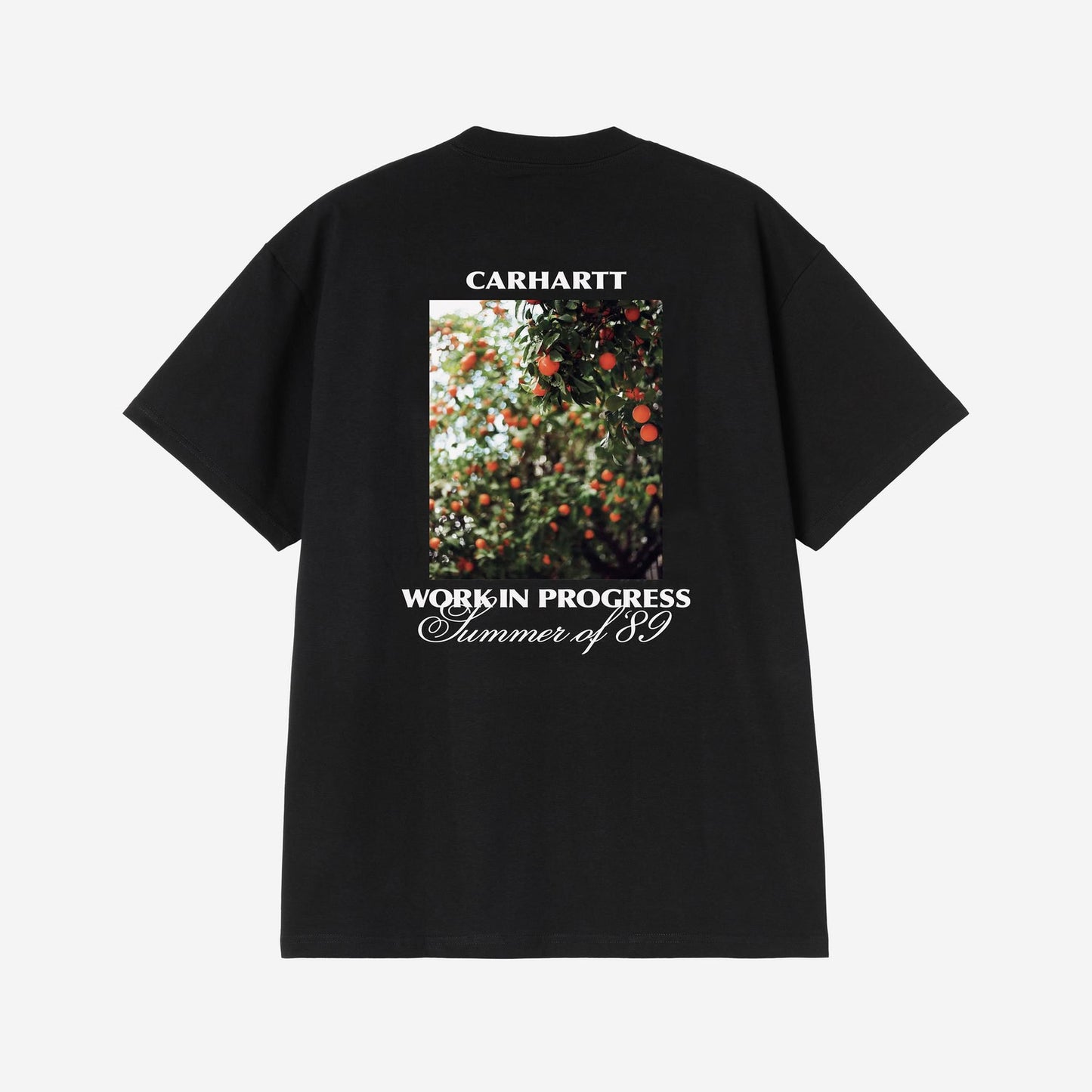 Carhartt WIP Warm Views T-Shirt