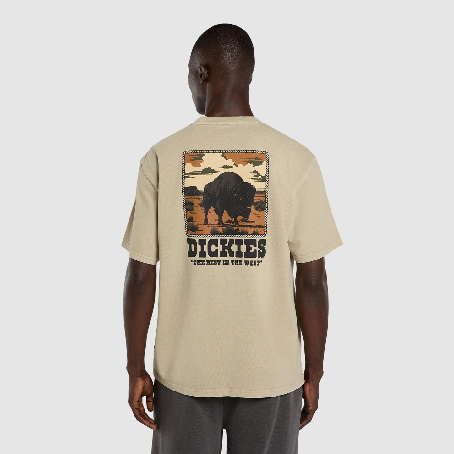 Dickies Darrtown T-Shirt
