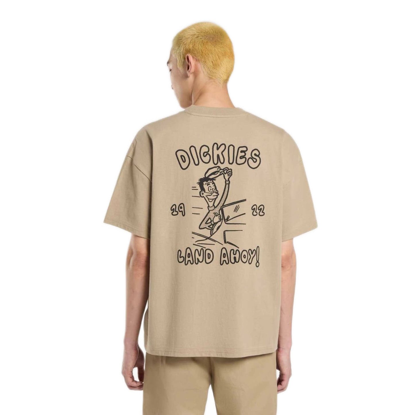Dickies Decartuville T-Shirt