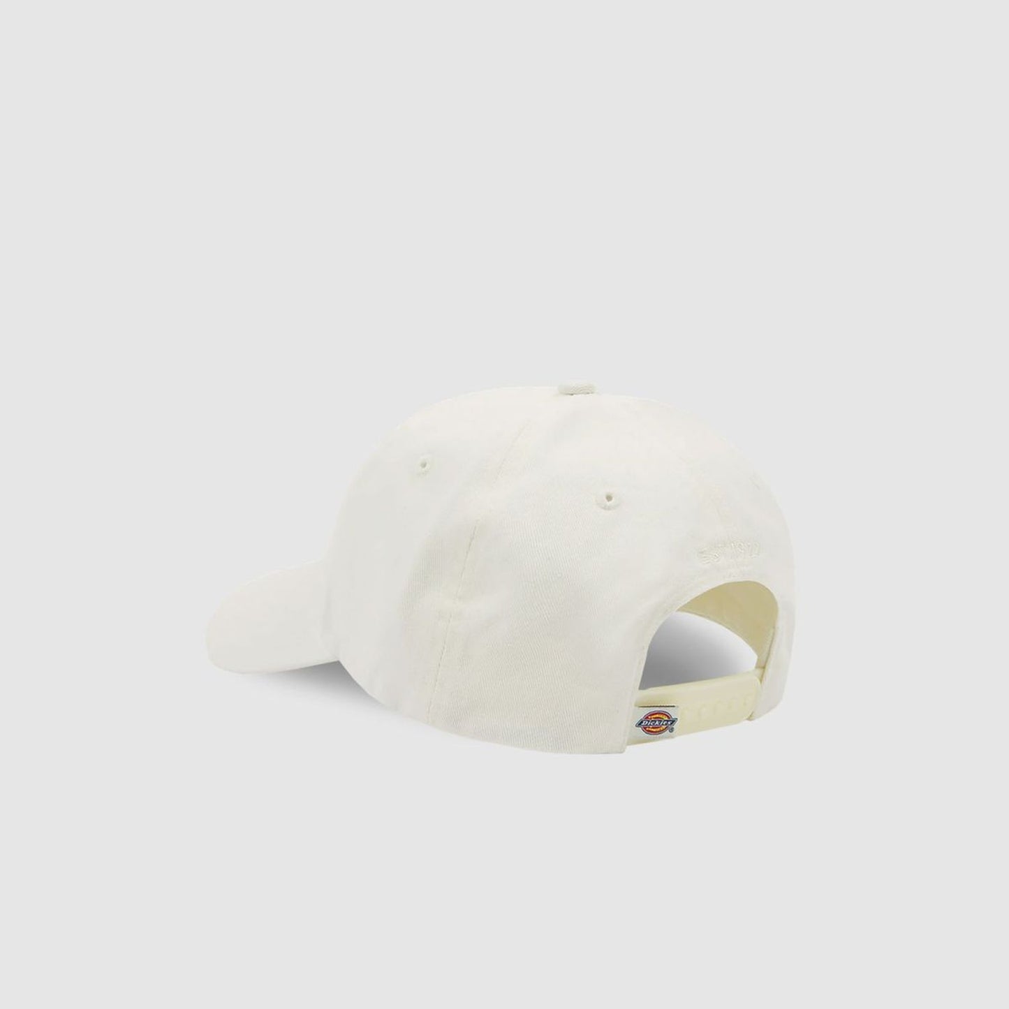 Dickies Hardwick Baseball Cap