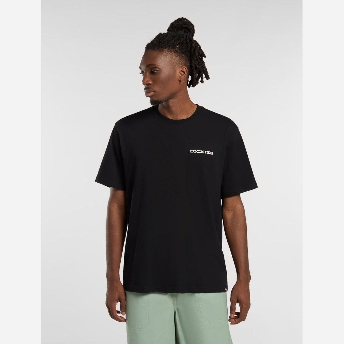 Dickies Landscape T-Shirt Black