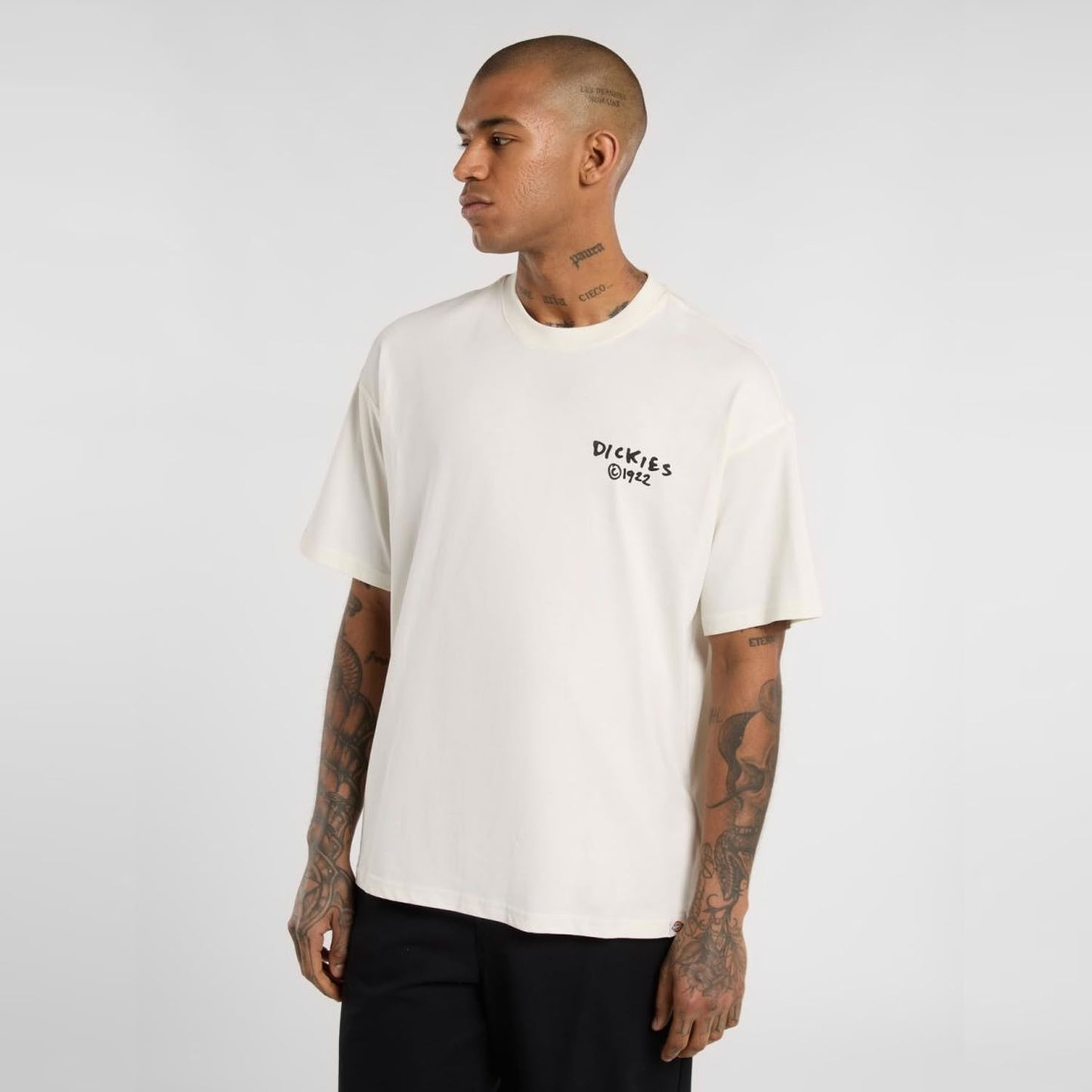 Dickies Sneedville T-Shirt Egret