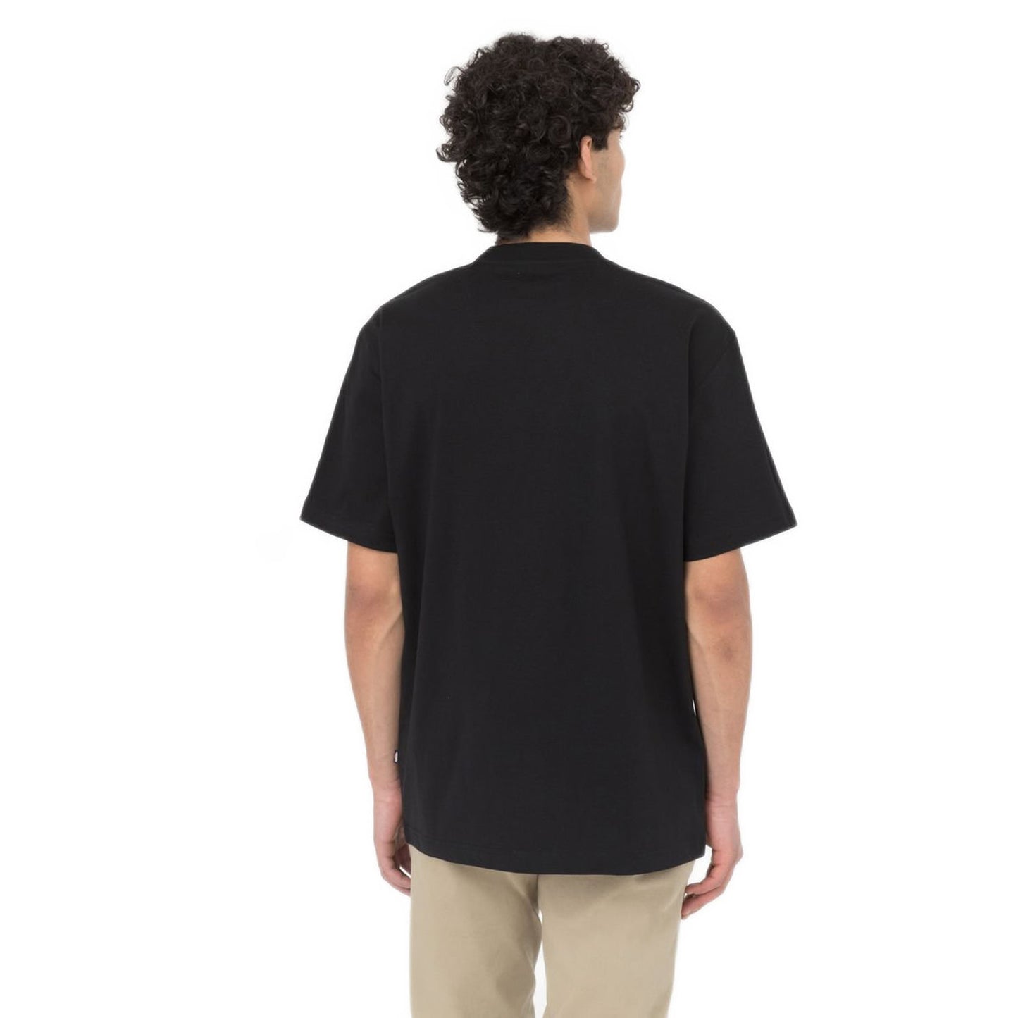 Dickies Summerdale T-Shirt