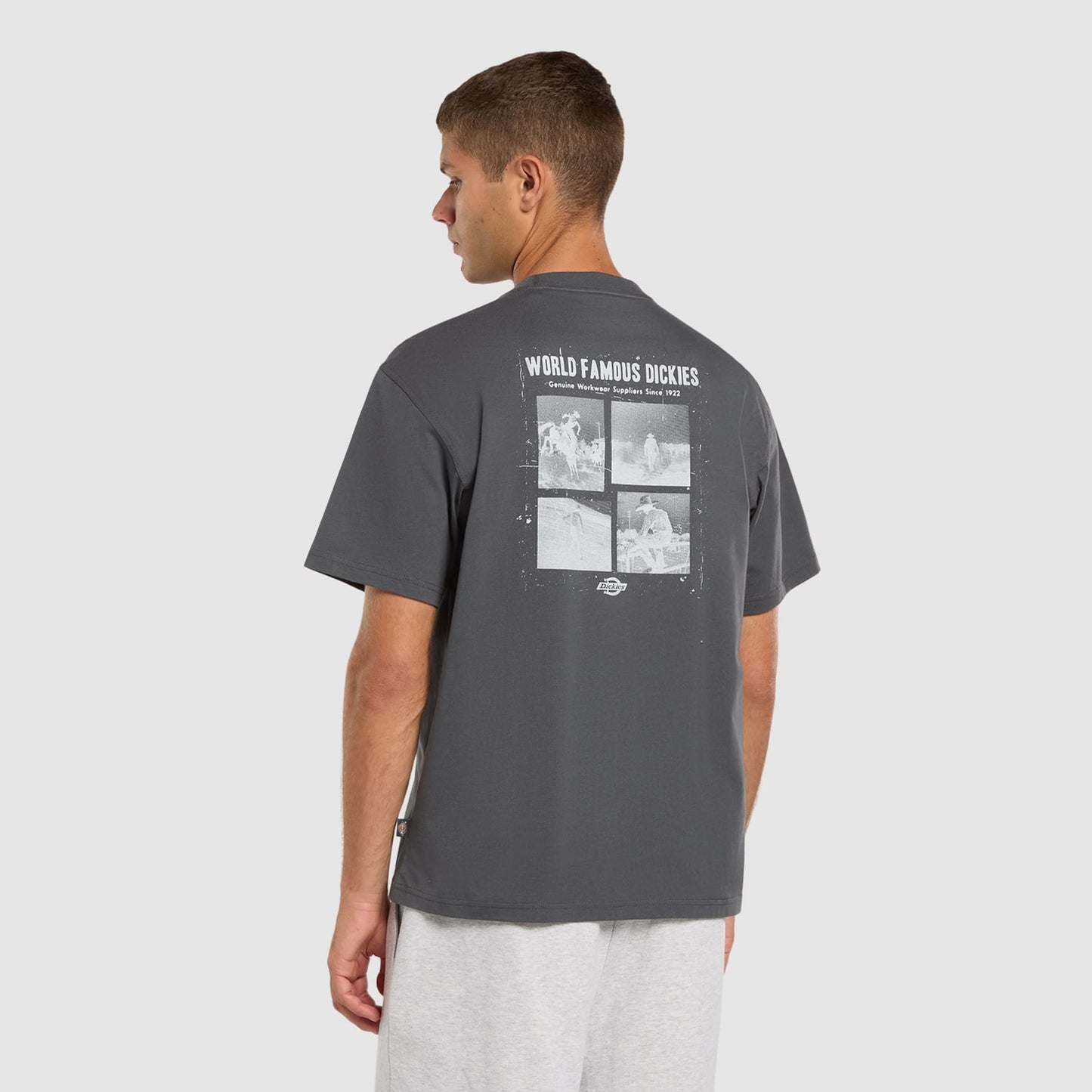 Dickies Wolfhurst T-Shirt