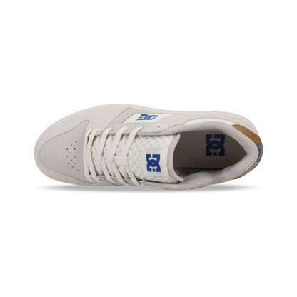 DC Manteca Shoes