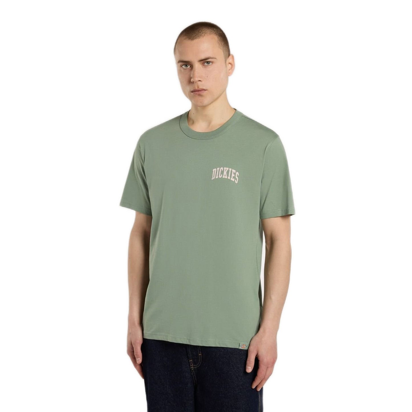 Dickies Aitkin Chest Logo T-Shirt Sea Spray