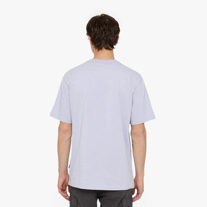 Dickies Aitkin Chest Logo T-Shirt