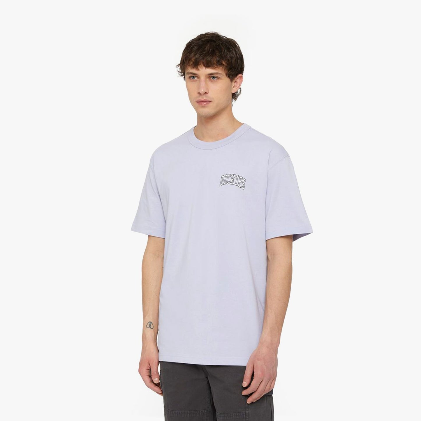 Dickies Aitkin Chest Logo T-Shirt Sky