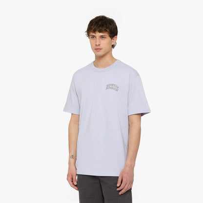 Dickies Aitkin Chest Logo T-Shirt Sky