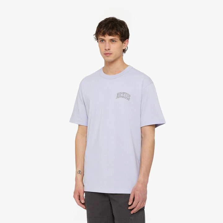 Dickies Aitkin Chest Logo T-Shirt Sky