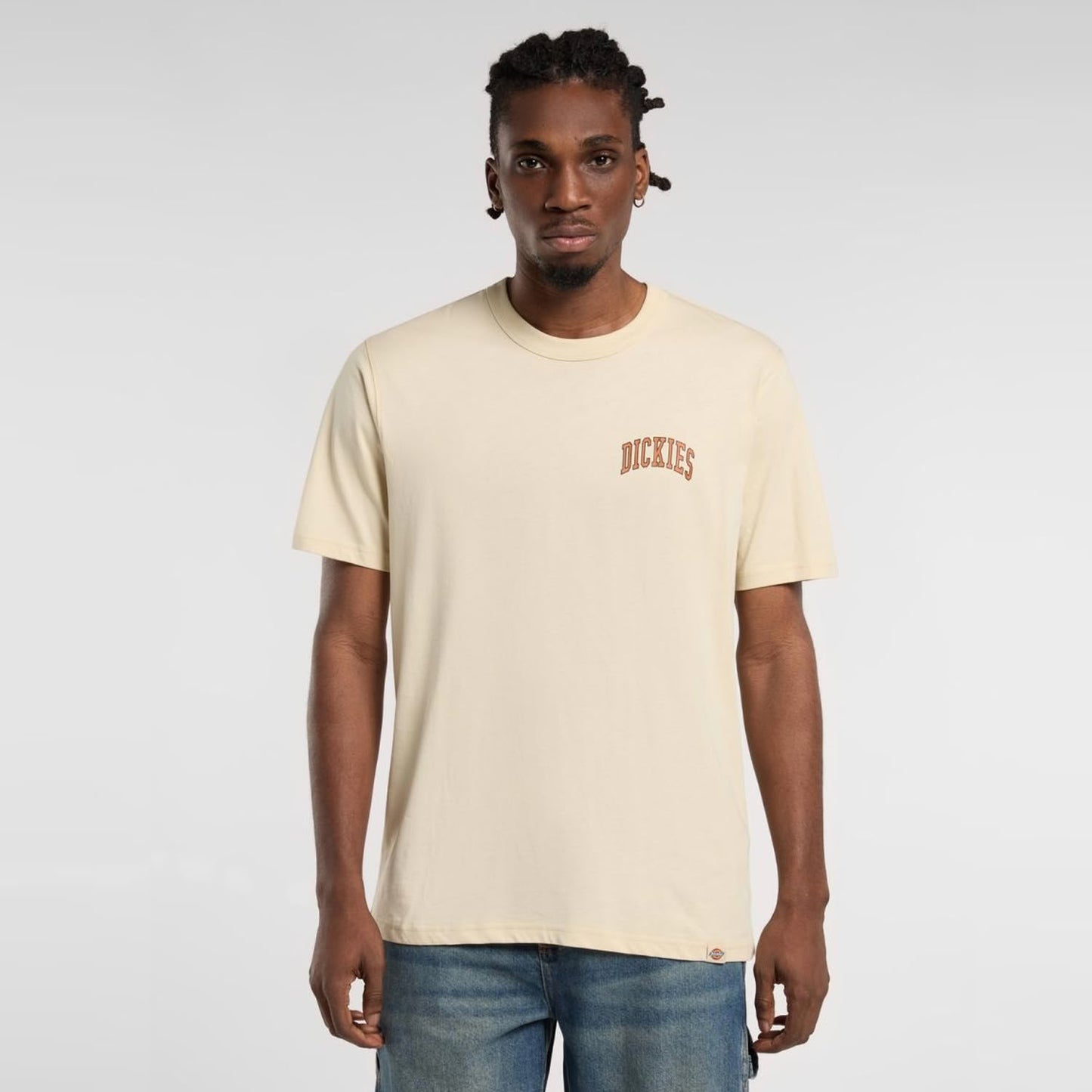 Dickies Aitkin Chest Logo T-Shirt Wood Ash