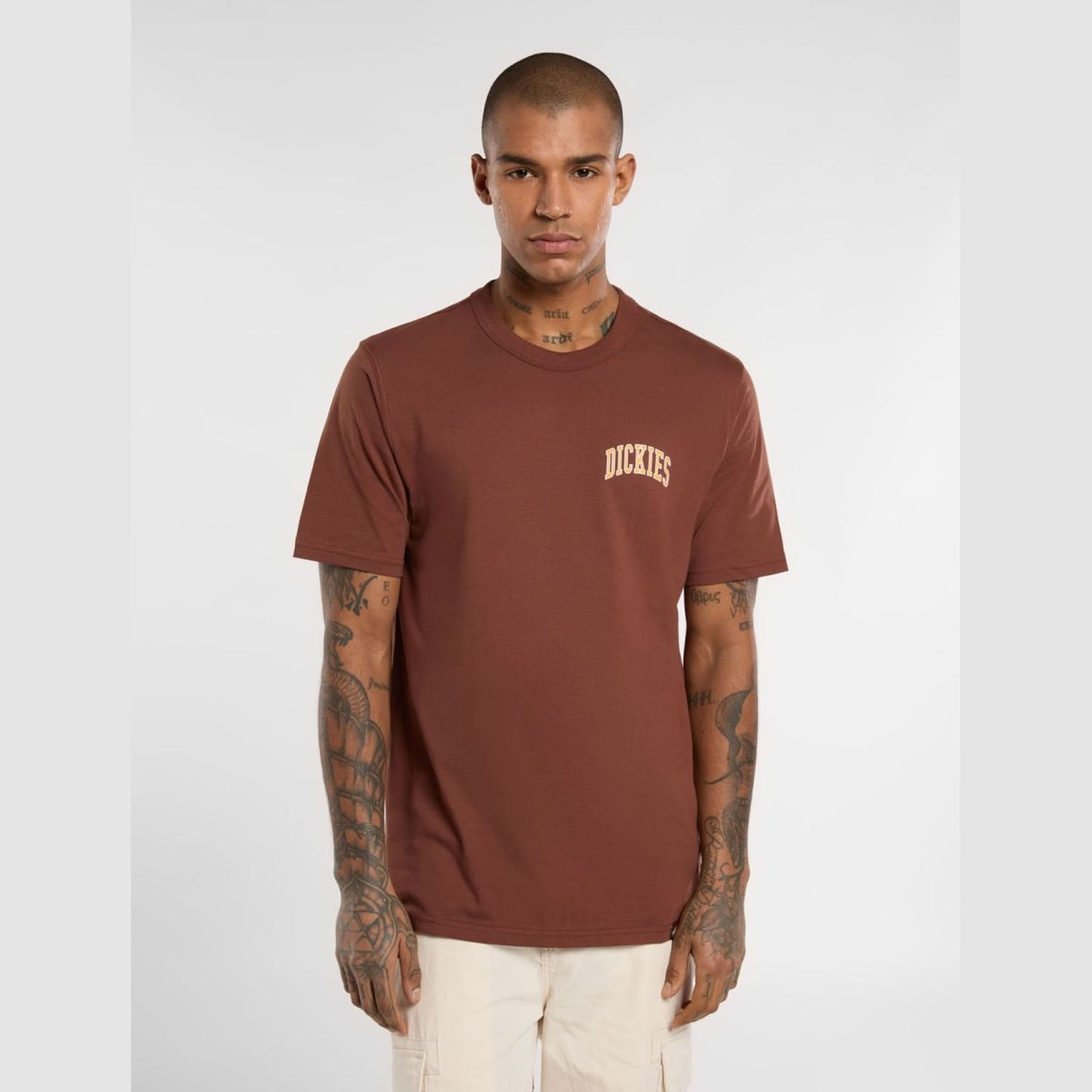 Dickies Aitkin Chest Logo T-Shirt Cappuccino