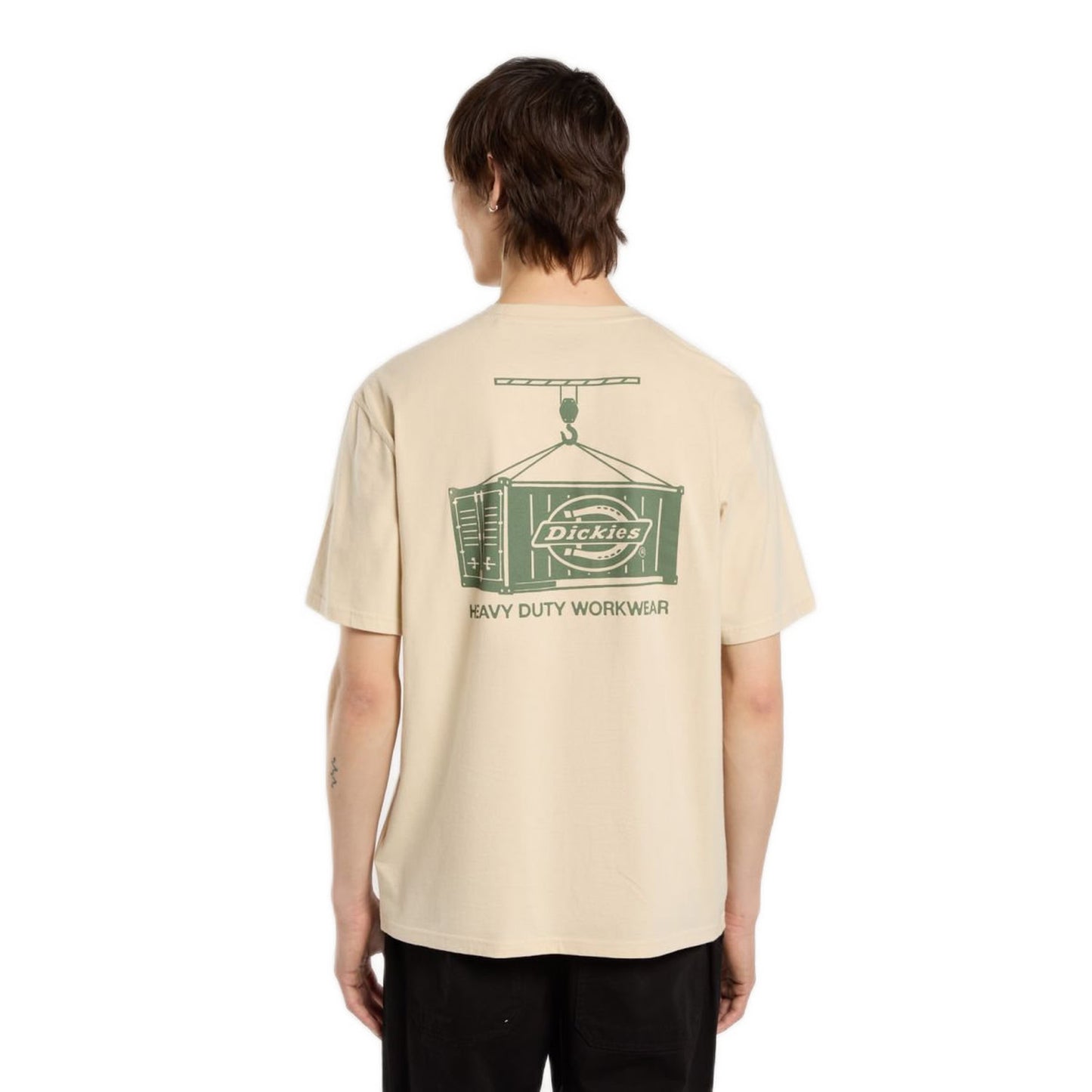 Dickies Apison T-Shirt