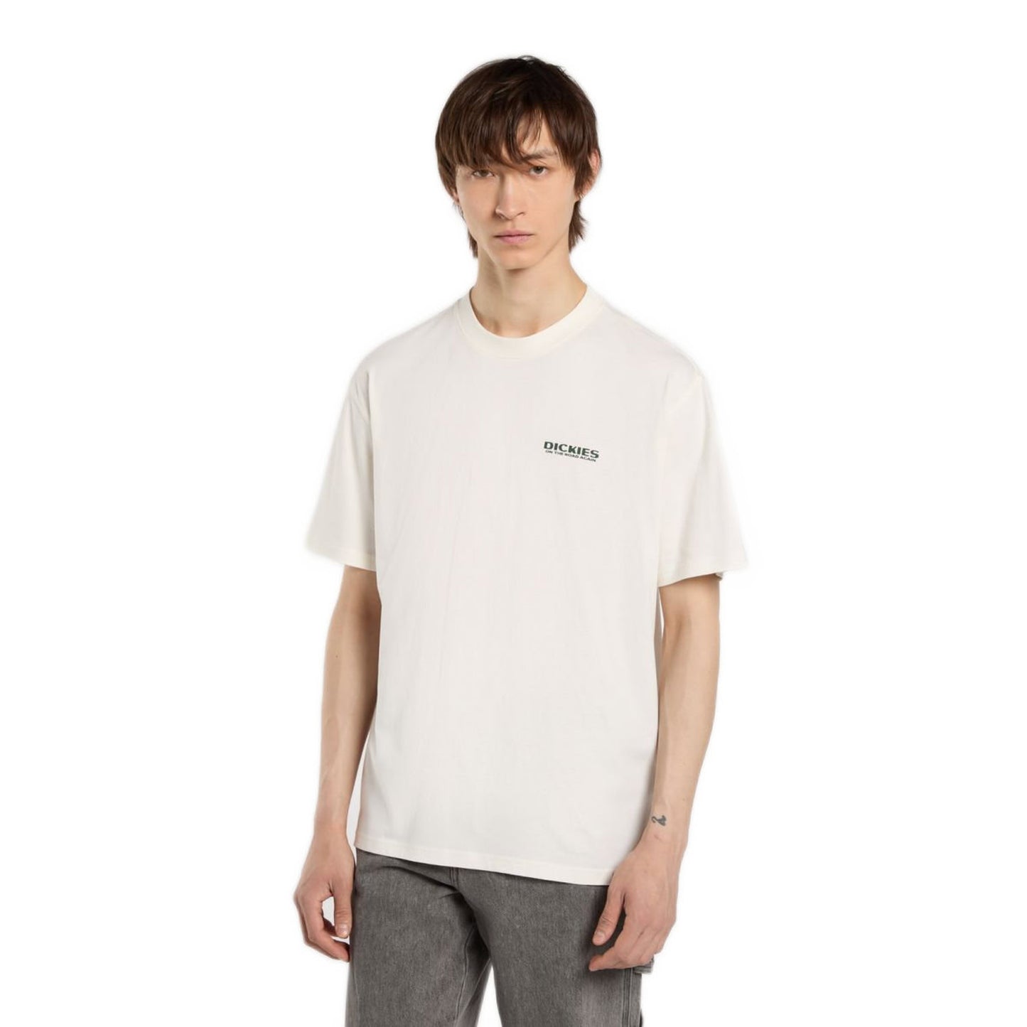 Dickies Burns T-Shirt Egret