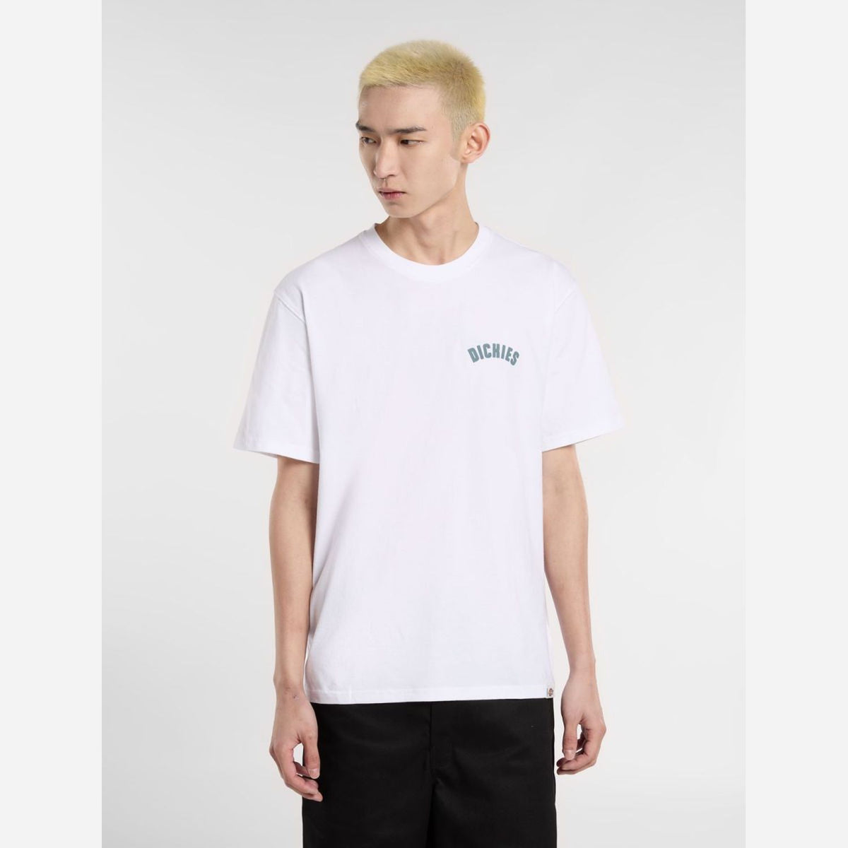 Dickies Circle Logo T-Shirt White