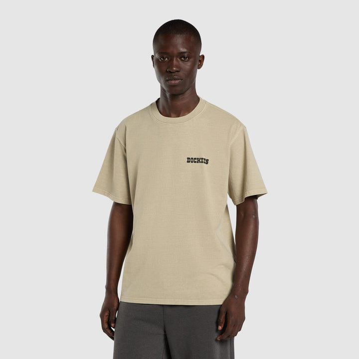 Dickies Darrtown T-Shirt Eucalyptus
