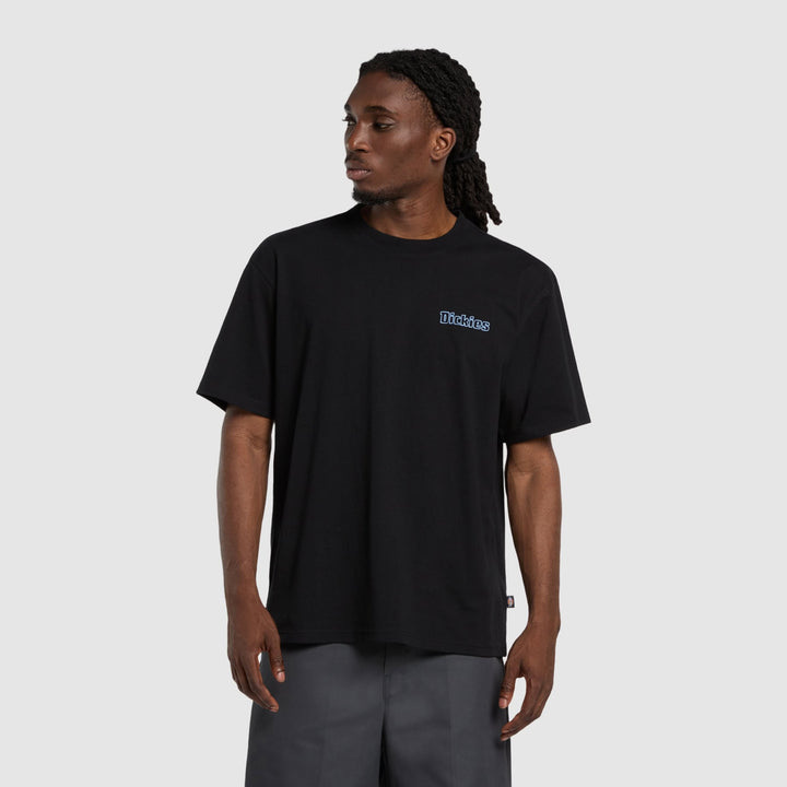 Dickies Fairlawn T-Shirt Black