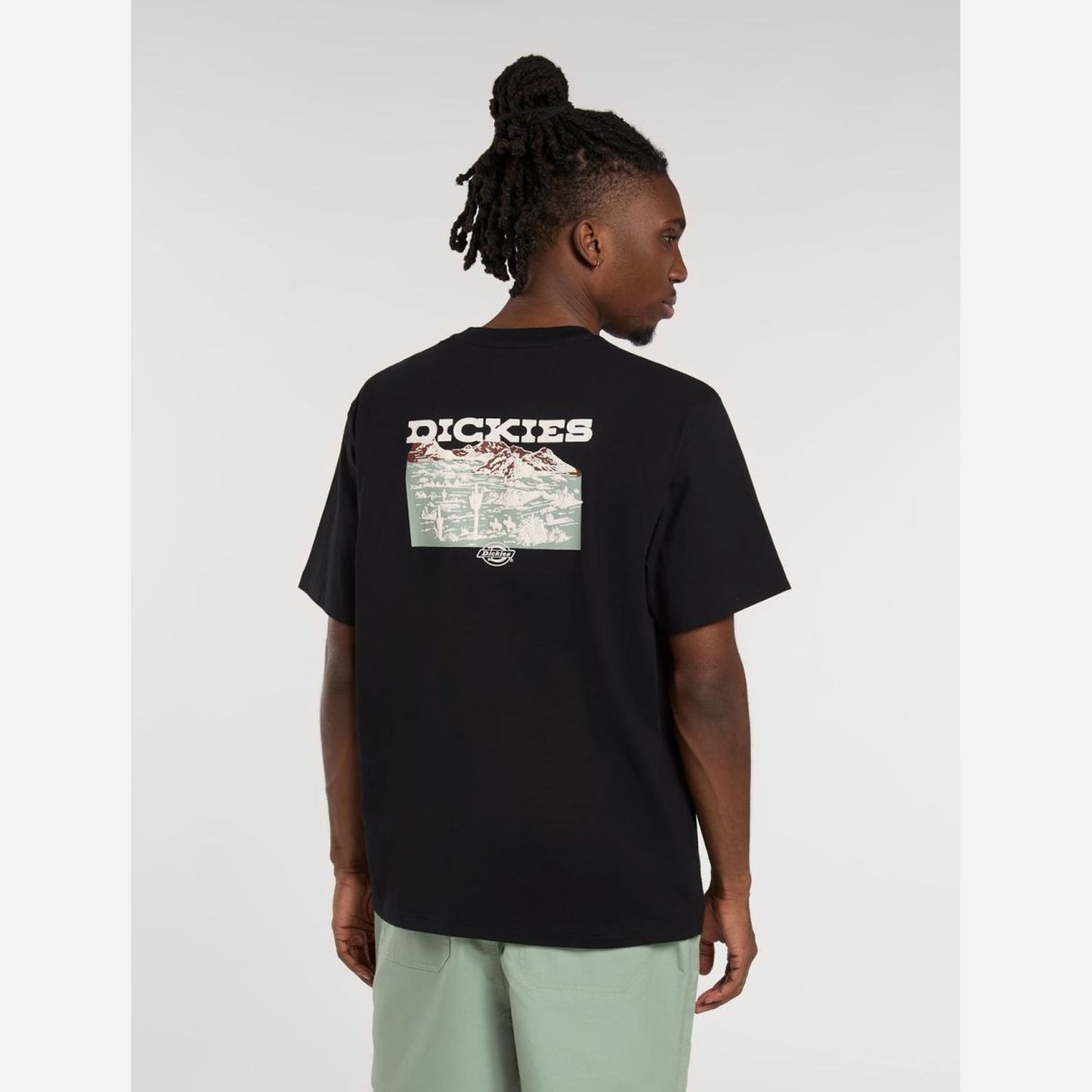 Dickies Landscape T-Shirt