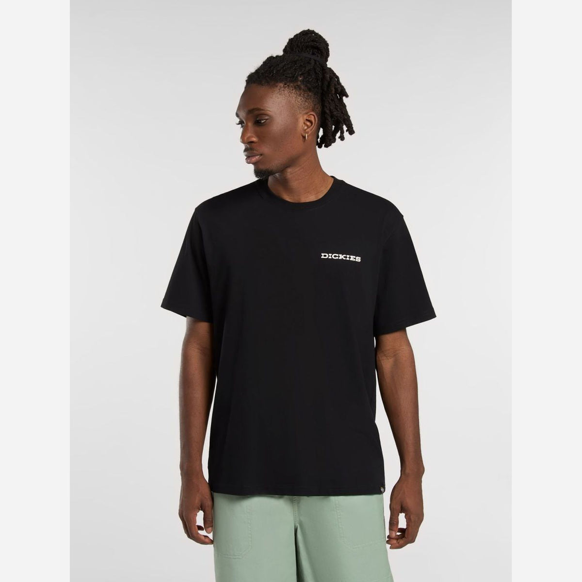 Dickies Landscape T-Shirt Black
