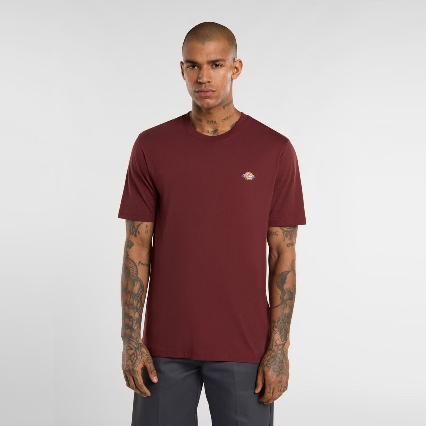 Dickies Mapleton T-Shirt Andorra