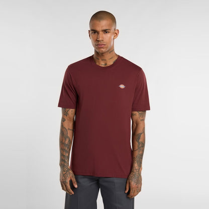 Dickies Mapleton T-Shirt Andorra