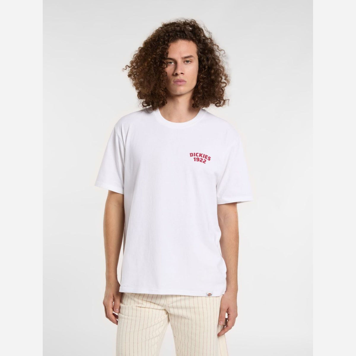 Dickies Mechanic T-Shirt White