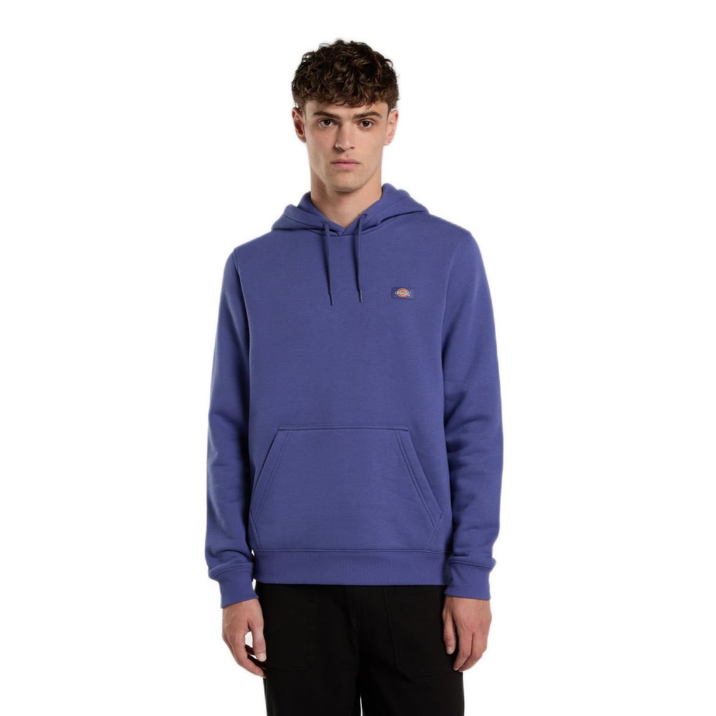 Dickies Oakport Pullover Hoodie Blue