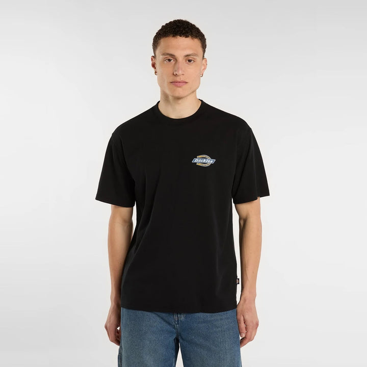 Dickies Paradise T-Shirt Black