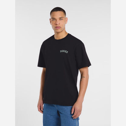 Dickies Snake T-Shirt Black