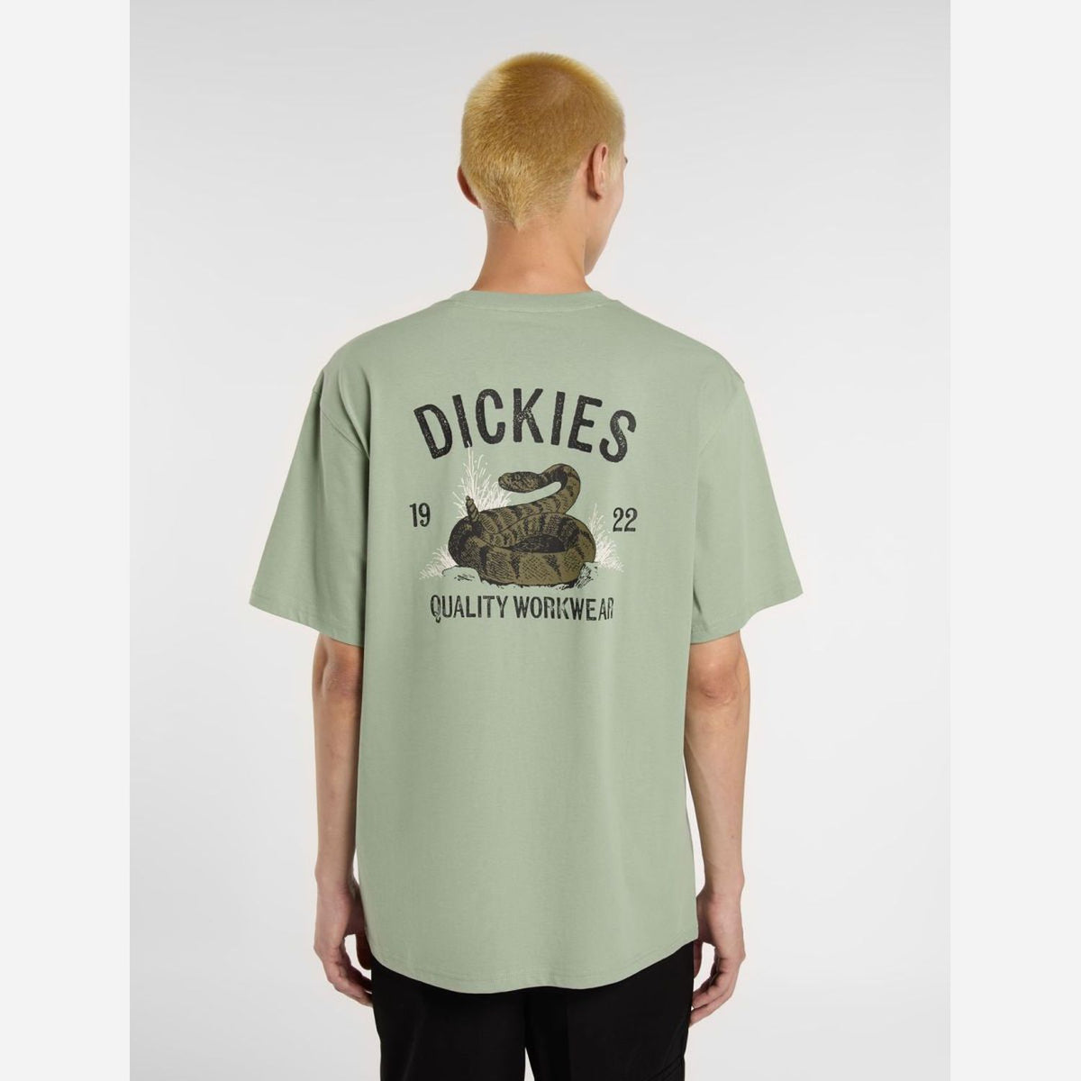 Dickies Snake T-Shirt