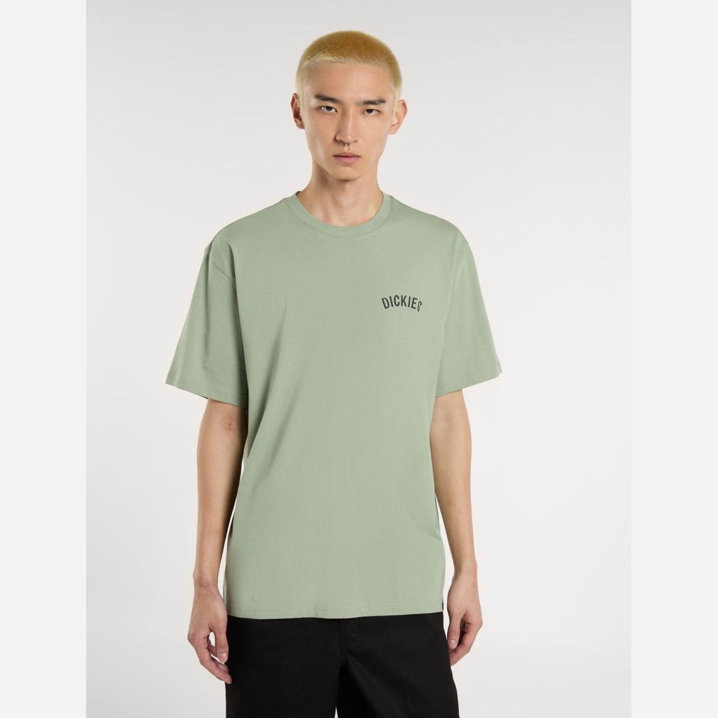 Dickies Snake T-Shirt Green