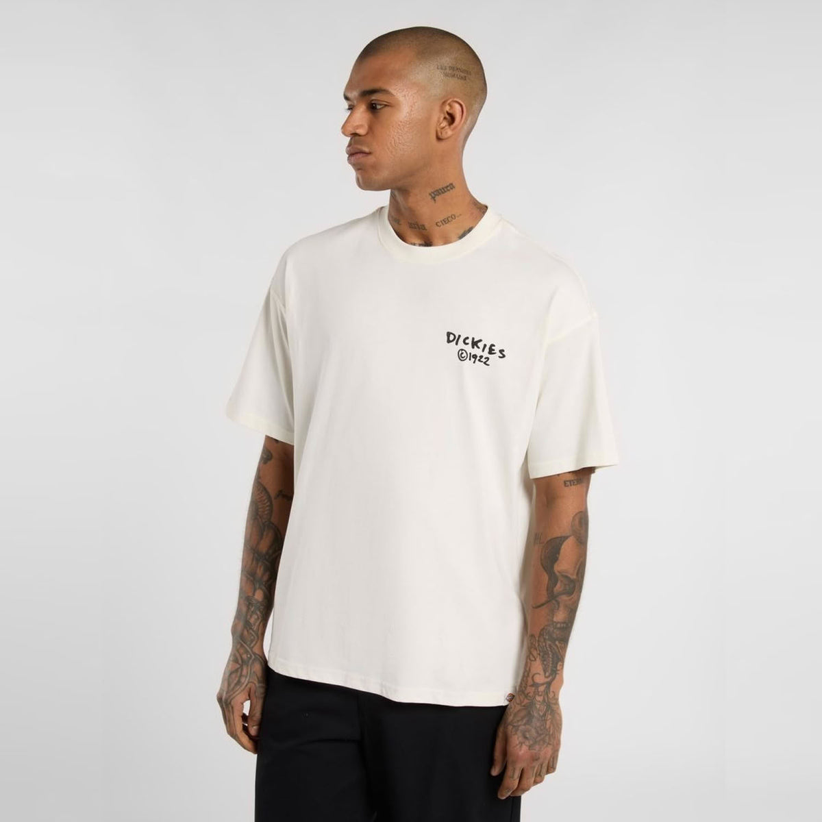 Dickies Sneedville T-Shirt Egret