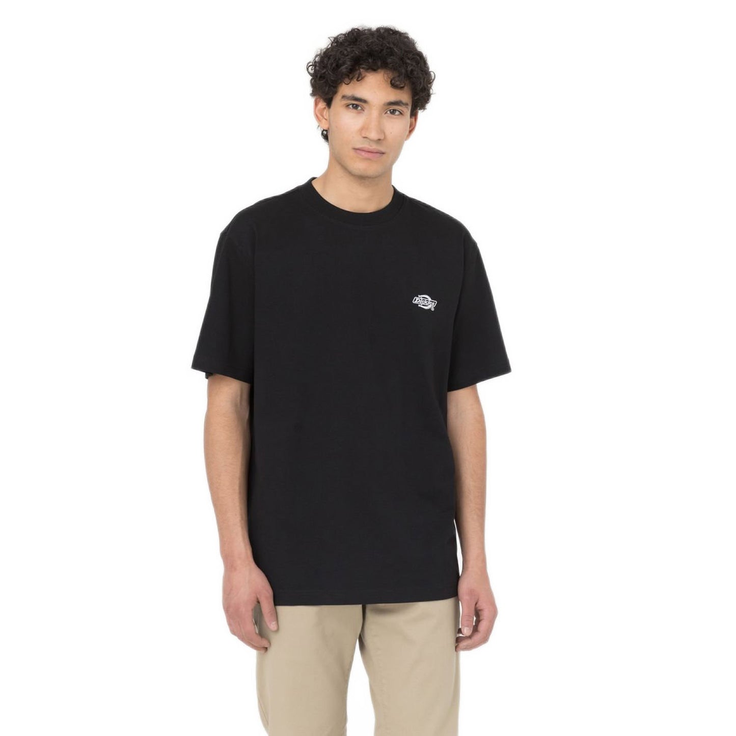 Dickies Summerdale T-Shirt Black